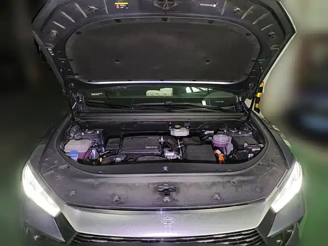 BYD Song Pro New Energy 2024 Glory Edition DM-i 110KM Excellence — фото 3