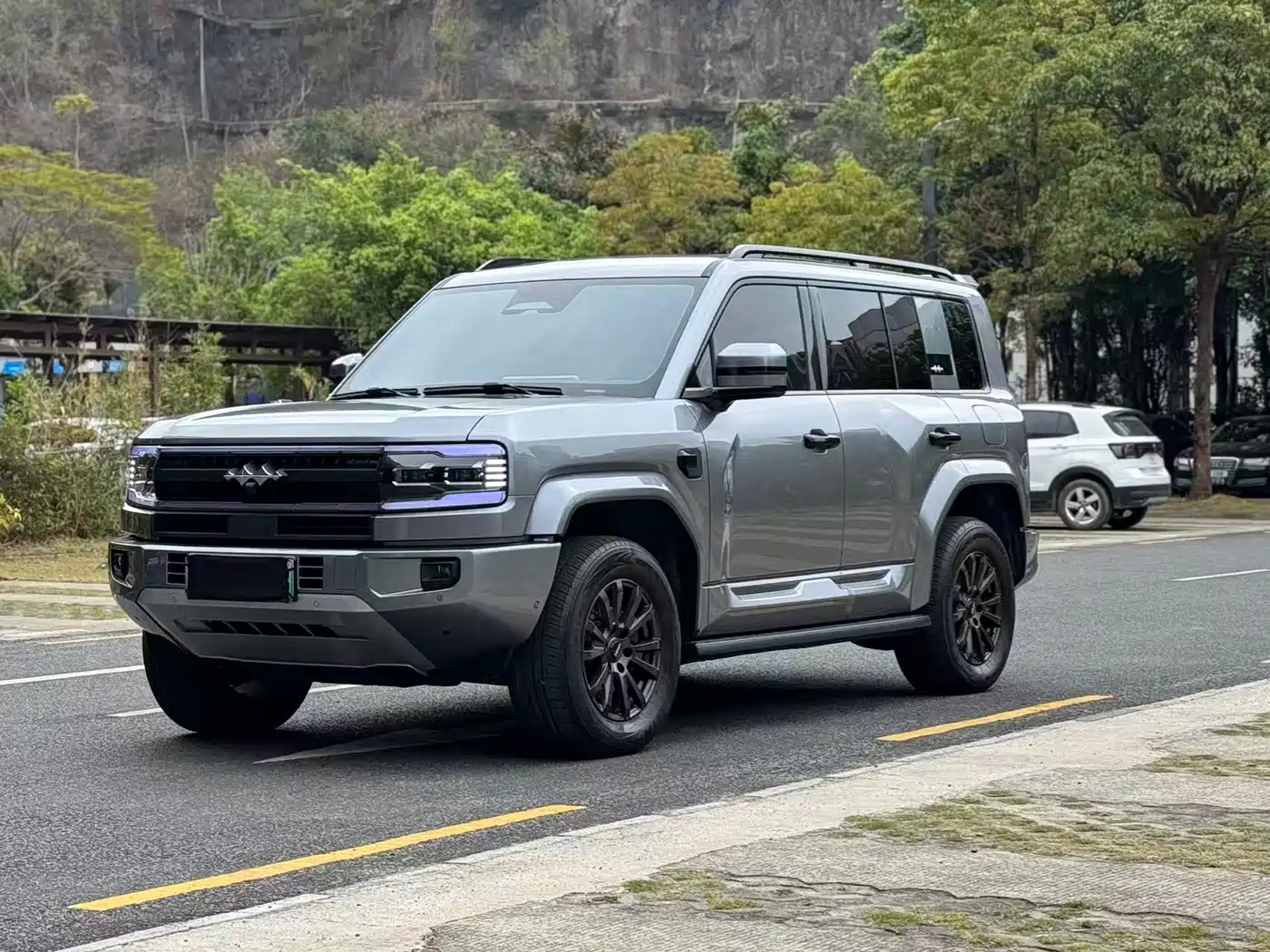 FANG CHENG BAO LEOPARD 5