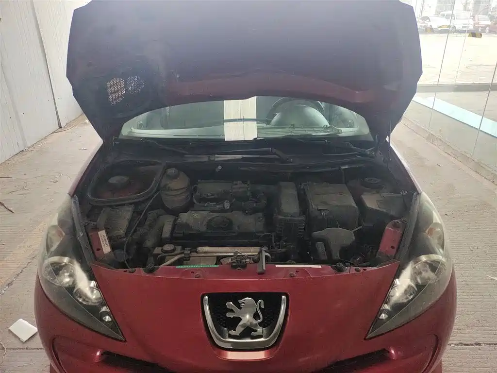 Peugeot 207 2011 Hatchback 1.4L Manual Joy Edition фото 20