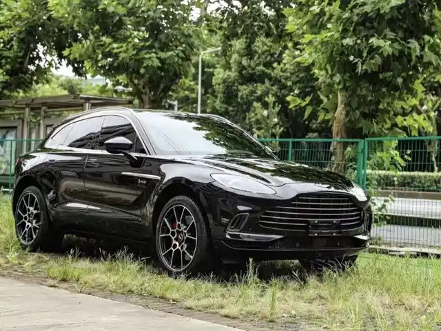  Aston Martin Aston Martin DBX 2021 4.0T V8 Realm of Simplicity