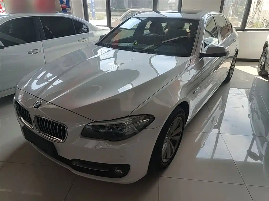 BMW 5 Series 2014 520Li Elegance фото 2