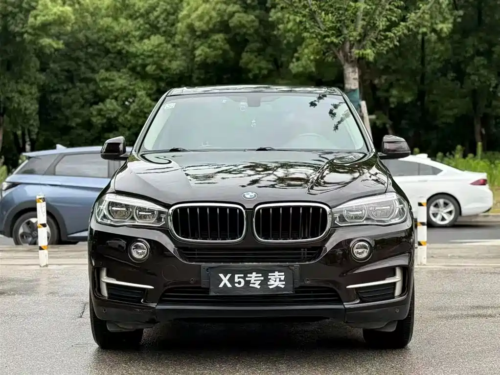 BMW X5 (Import) 2017 xDrive35i Elegance фото 2