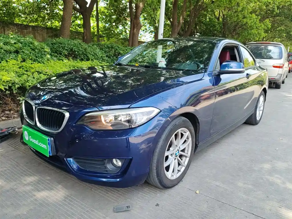 BMW 2 Series (Import) 2015 218i фото 2