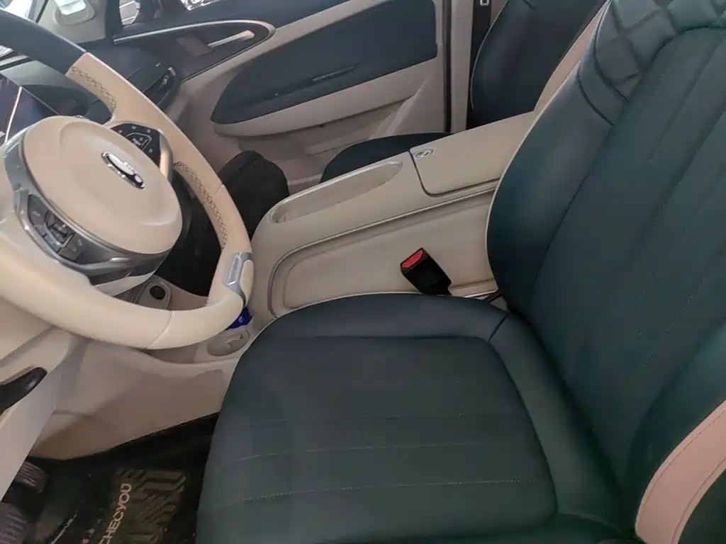 Ora Good Cat 2024 2024 401km Luxury