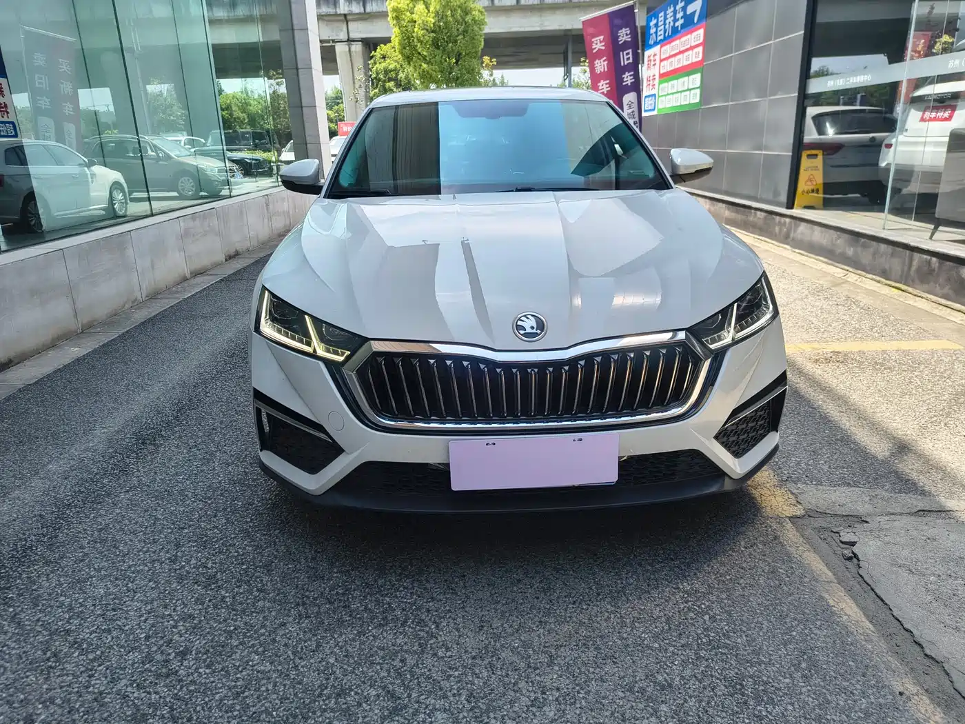 Škoda Octavia 2023 PRO TSI280 Premium Edition фото 3