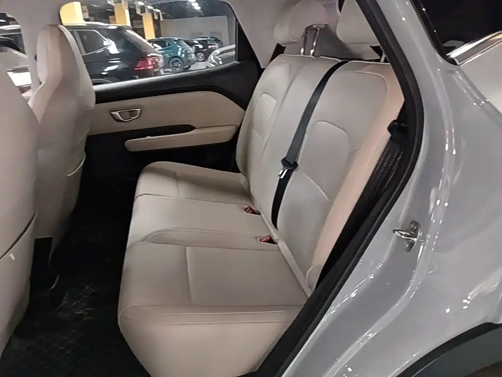 Wuling Motors Wuling Binguo PLUS 2024 2024 Model 330km 5-Seater