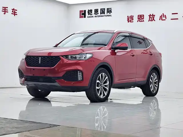 WEI PAI WEI BRAND VV6