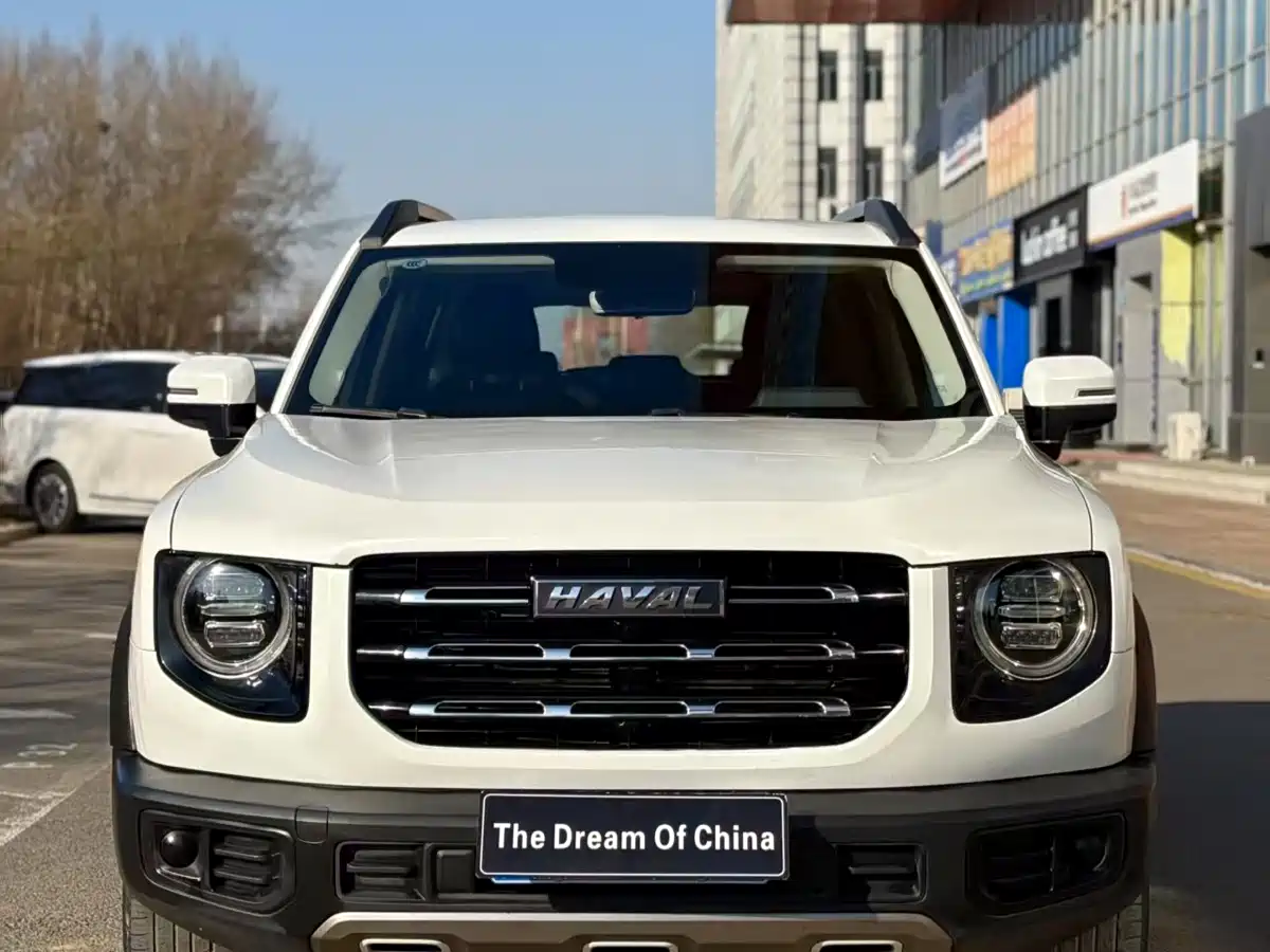 HAVAL BIG DOG