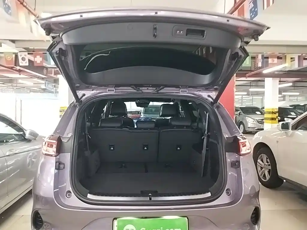 Denza X 2021 2020 Model PHEV Flagship Edition