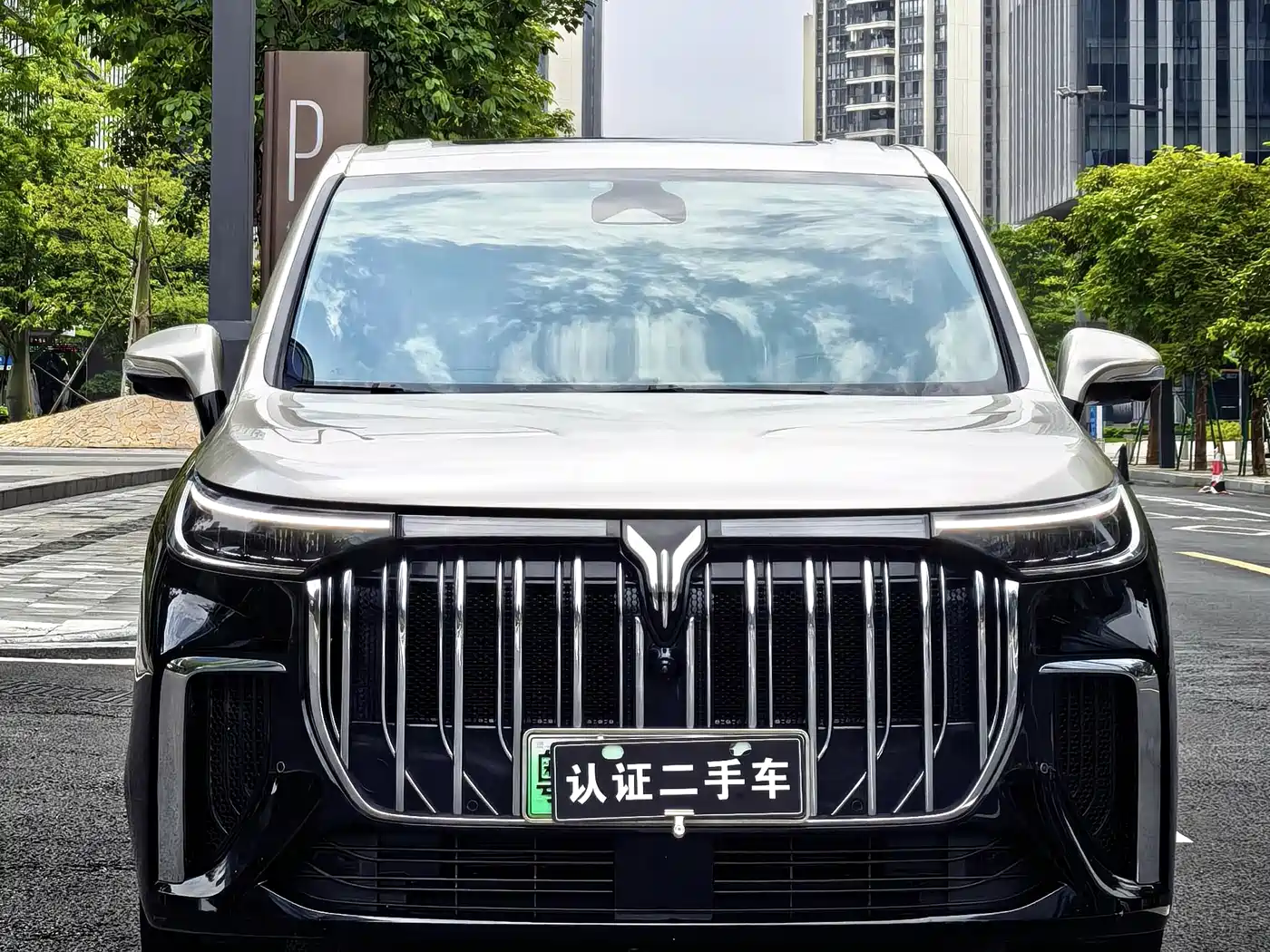 Voyah Auto Voyah Dreamer 2024 PHEV Extended Range Premium Edition фото 2
