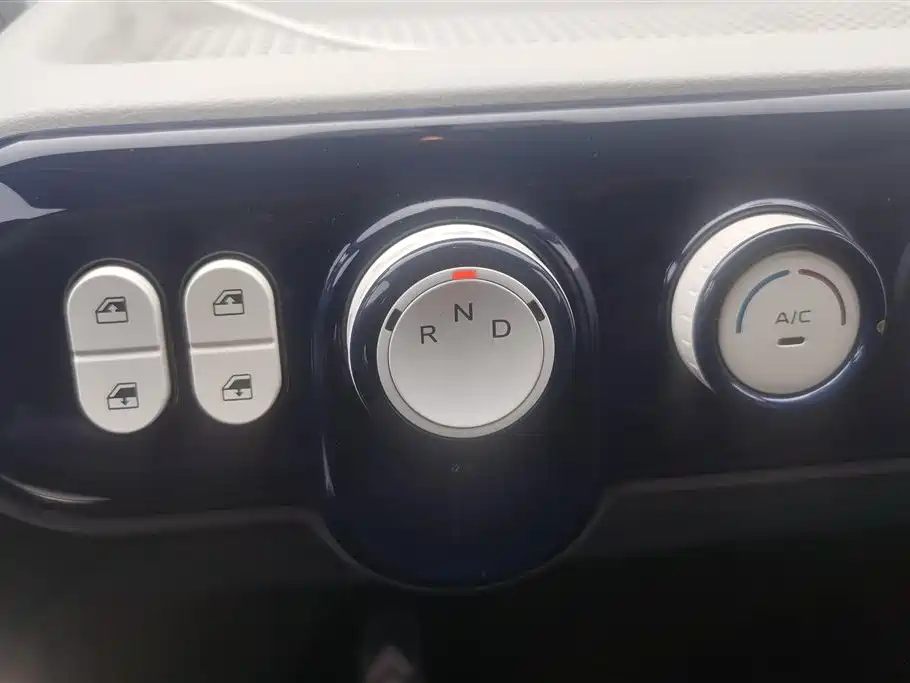 BESTUNE PENTIUM PONY