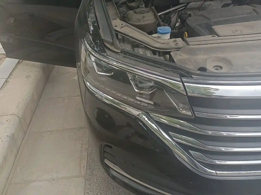 Фото 7 - Volkswagen Viloran