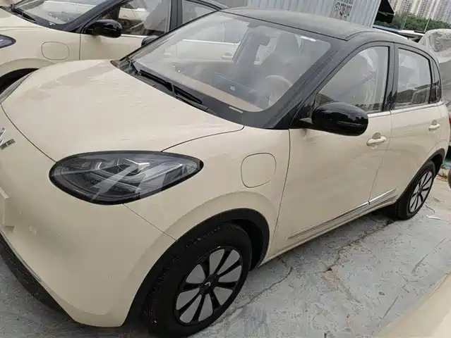 WULING WULING BINGGUO