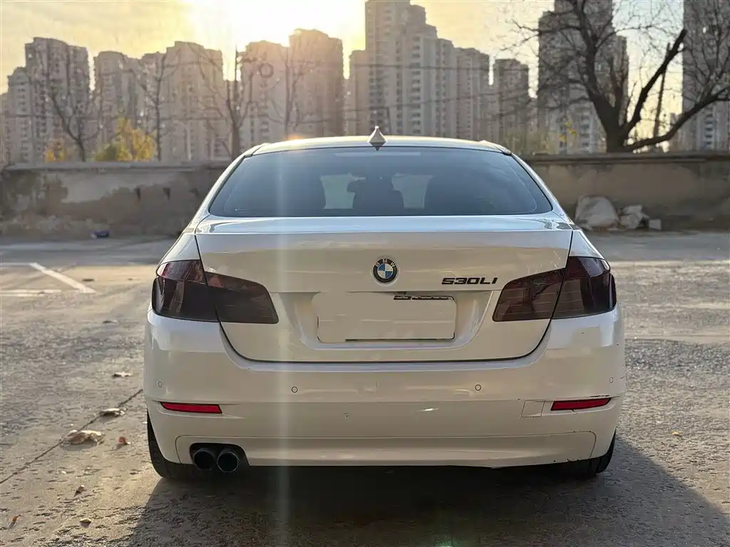 BMW 5 Series 2017 525Li Leading Edition фото 15