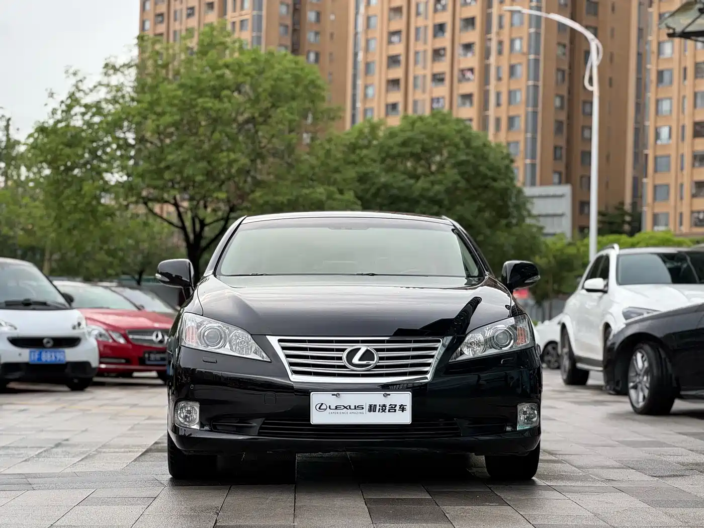 Lexus ES 2010 350 Luxury Edition фото 2