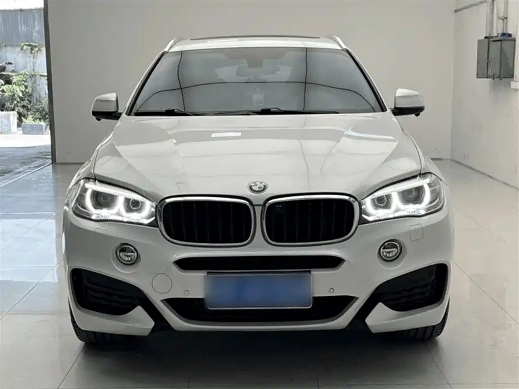 BMW X6 2019 xDrive28i M Sport Package фото 13