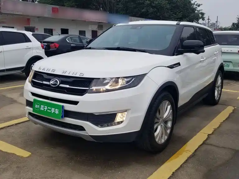 Фото 2 - Landwind X7