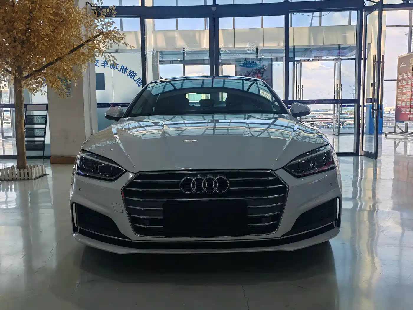 Audi A5 (Import) 2019 Sportback 40 TFSI Fashion фото 2