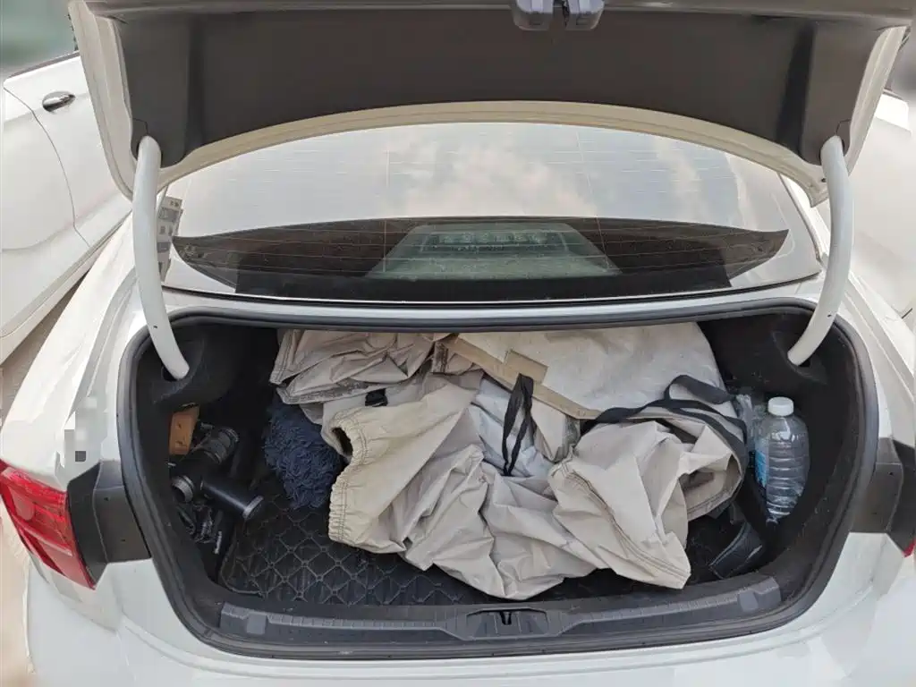 Volkswagen Lamando 2019 230TSI DSG Trend Edition China V фото 10