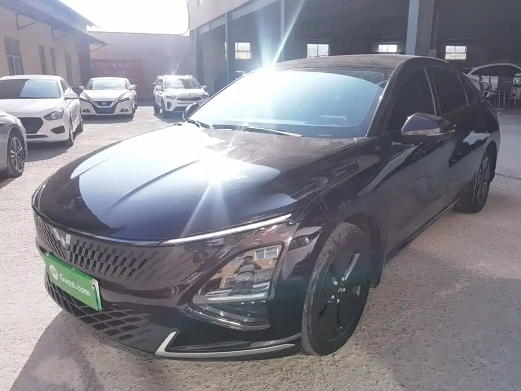 Wuling Motors Wuling Xingguang 2024 2023 70 Standard Edition