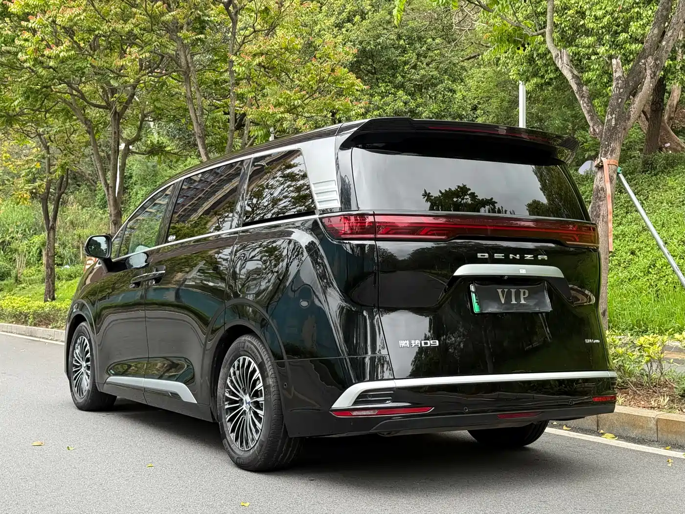 DENZA D9