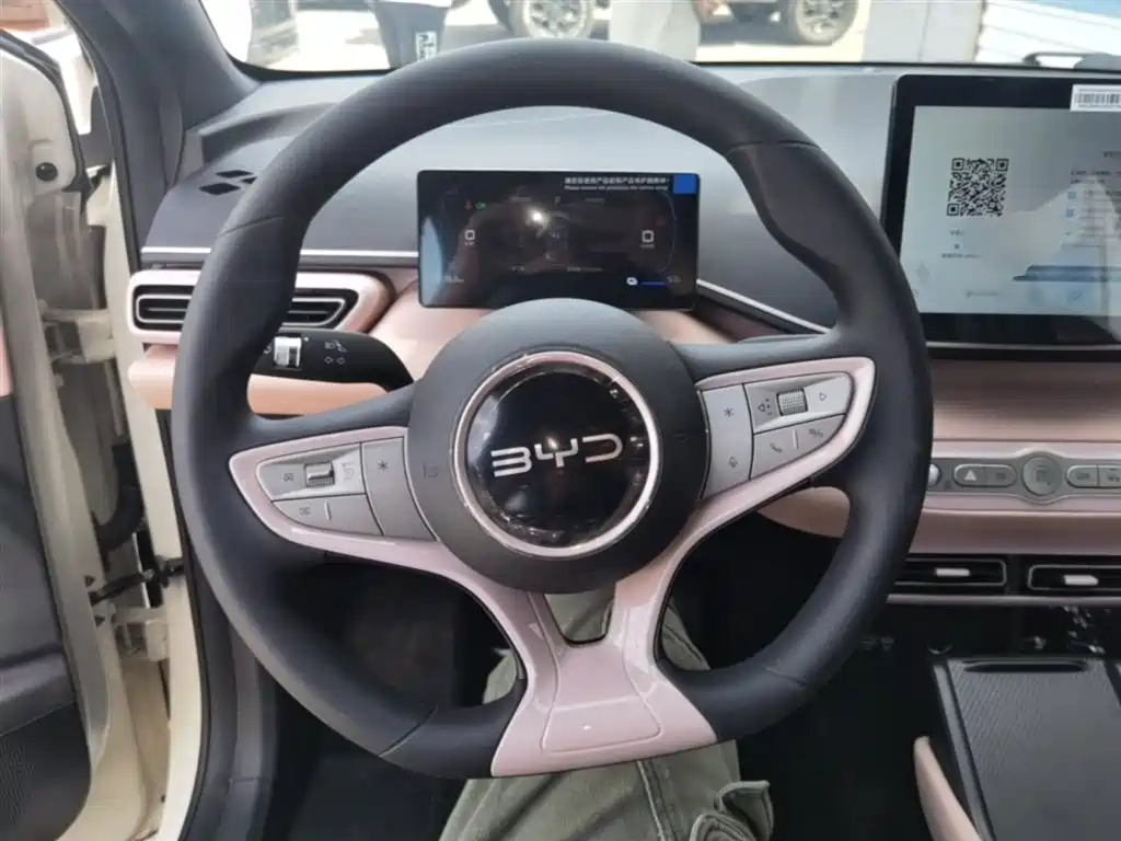 BYD Seagull 2025 Smart Drive Edition 305km Vitality Version фото 11
