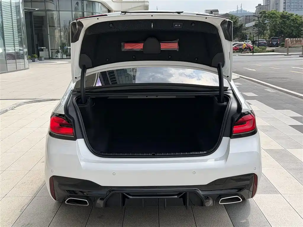 BMW 5 Series 2022 Model Second Facelift 530Li Leading M Sport Package фото 21