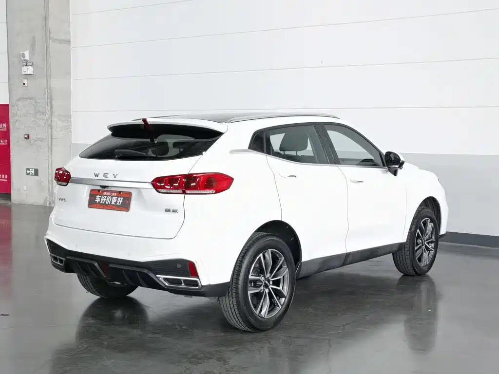 2021 WEY VV5