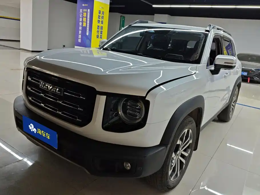 Haval Big Dog 2021 1.5T DCT 2WD Border Collie - Wangcai Edition
