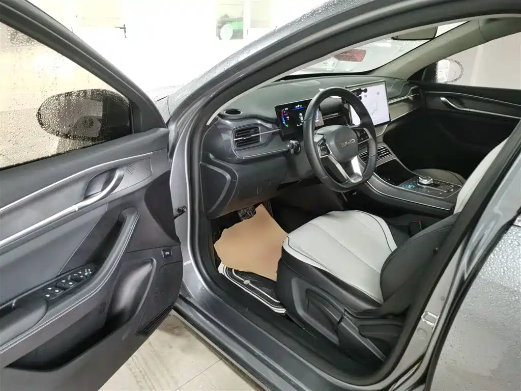 BYD Destroyer 05 2024 Glory Edition DM-i 55KM Luxury фото 12