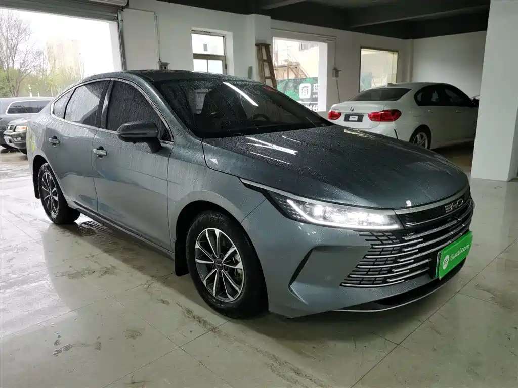 BYD Destroyer 05 2024 Glory Edition DM-i 55KM Luxury фото 22