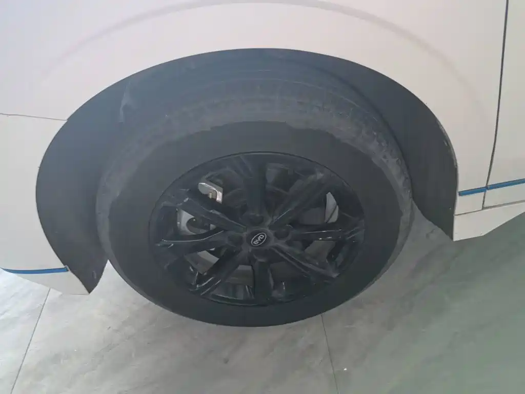 BYD e2 2021 2021 Premium Model