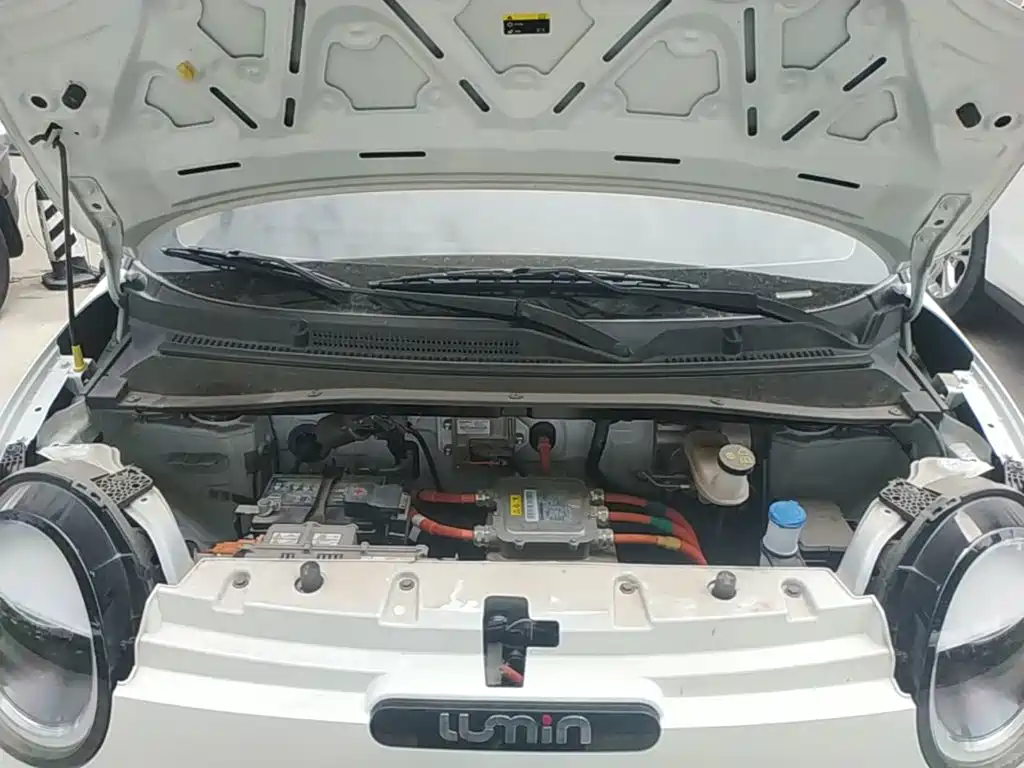 Photo 20 - Changan Lumin