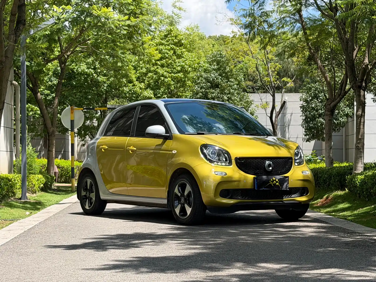 Фото 4 - smart forfour
