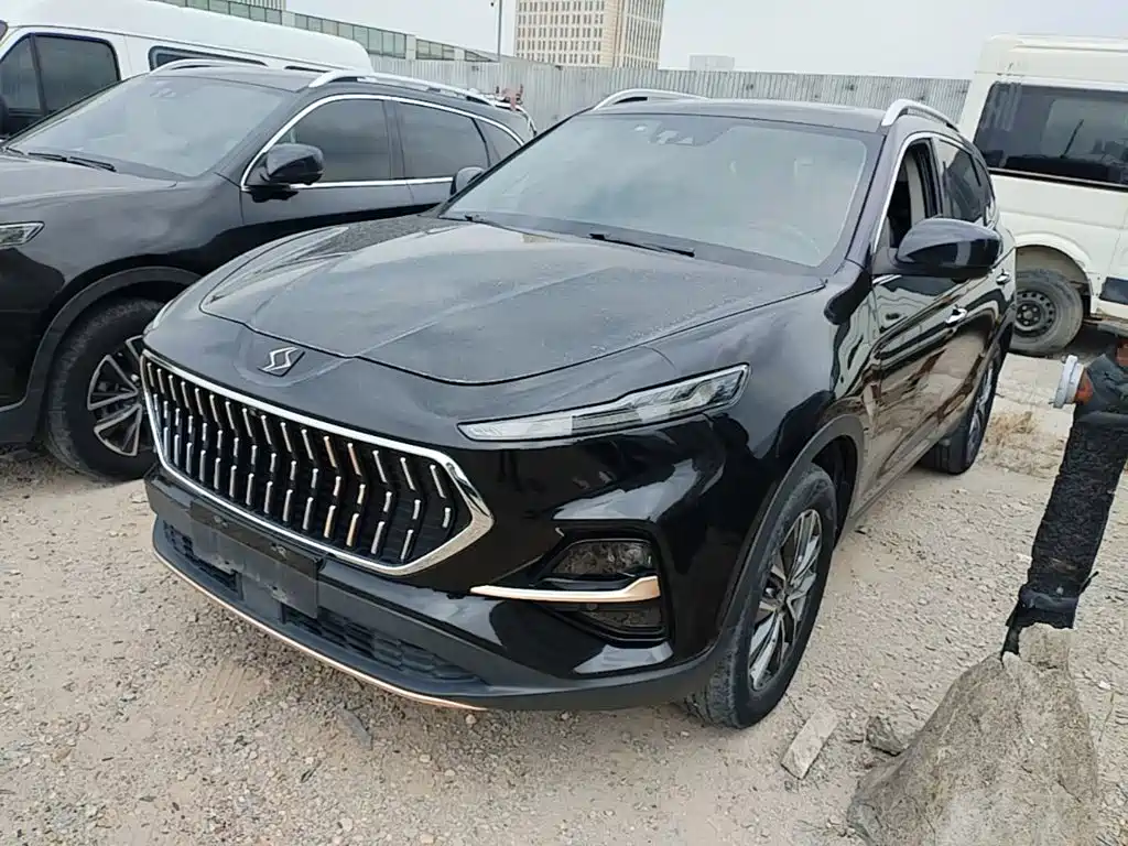 Sehol X7 2021 1.5T Flagship