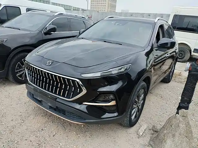  Sehol Sehol X7 2021 1.5T Flagship