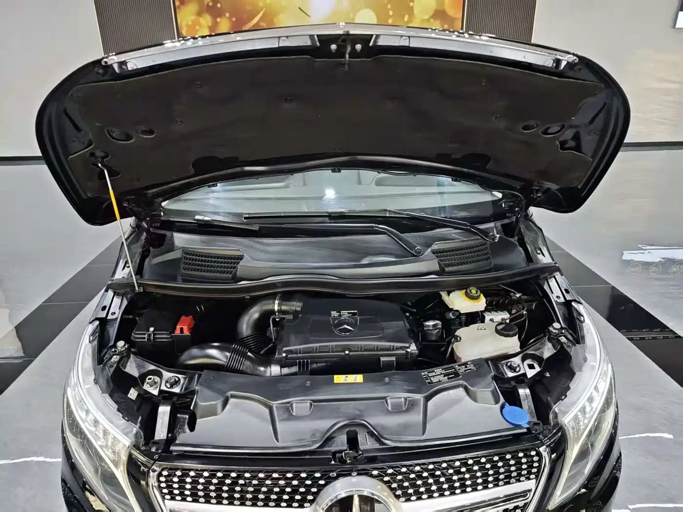 Mercedes-Benz Vito 2018 2.0T Business Edition China VI фото 5