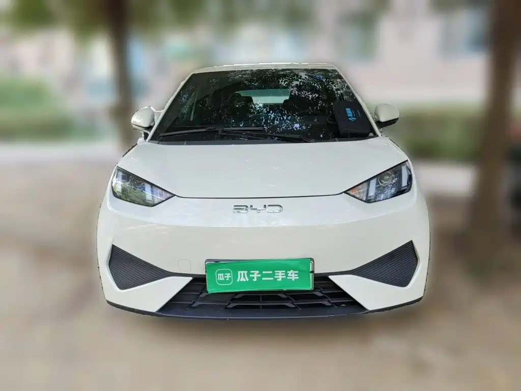 BYD Seagull 2026 2025 Smart Drive Edition 305km Vitality Version