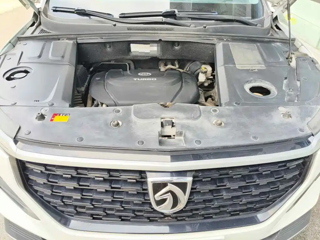Baojun 530 2021 2021 Global Anniversary Edition 1.5T CVT Luxury 6-seater