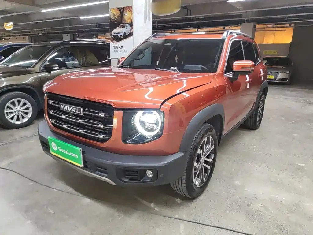 Haval Big Dog 2021 1.5T DCT 2WD Border Collie Edition