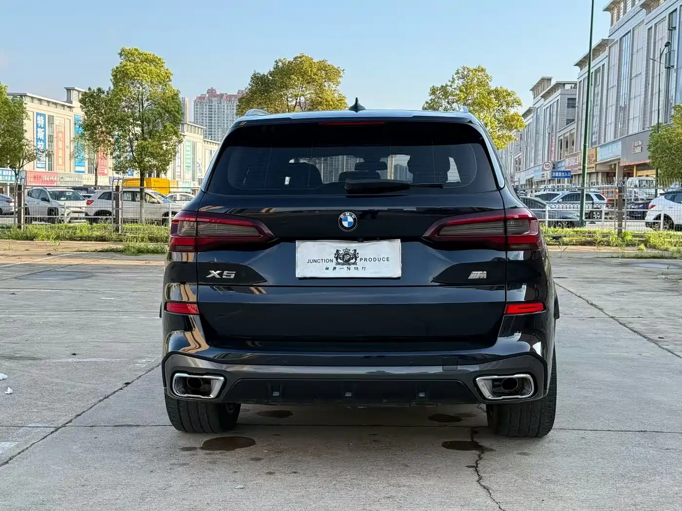 BMW X5 (Import) 2020 xDrive30i M Sport Package фото 5