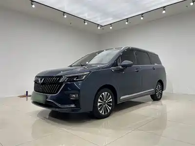 Wuling Jiachen