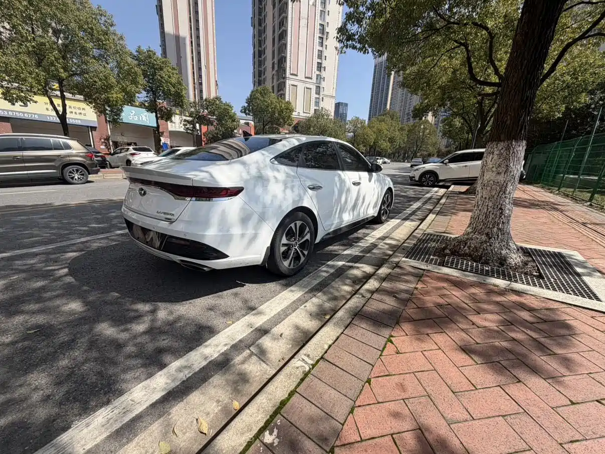 Hyundai Fista 2021 280TGDi DLX Luxury Edition фото 7