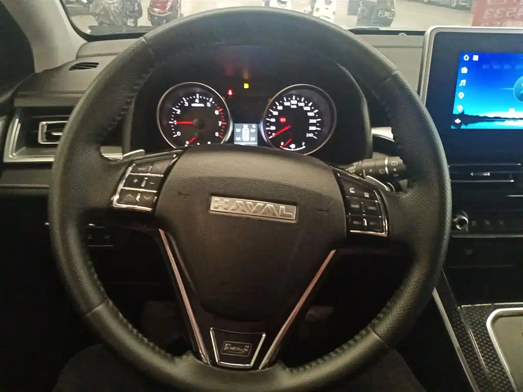 HAVAL M6