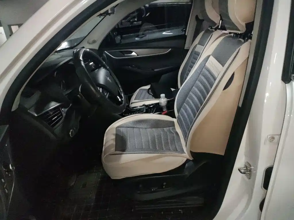 Borgward BX5 2018 2017 Model 20TGDI Automatic 2WD Vanguard Type
