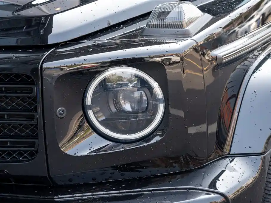 Mercedes-Benz G-Class 2020 G 500 Dark Night Special Edition фото 10