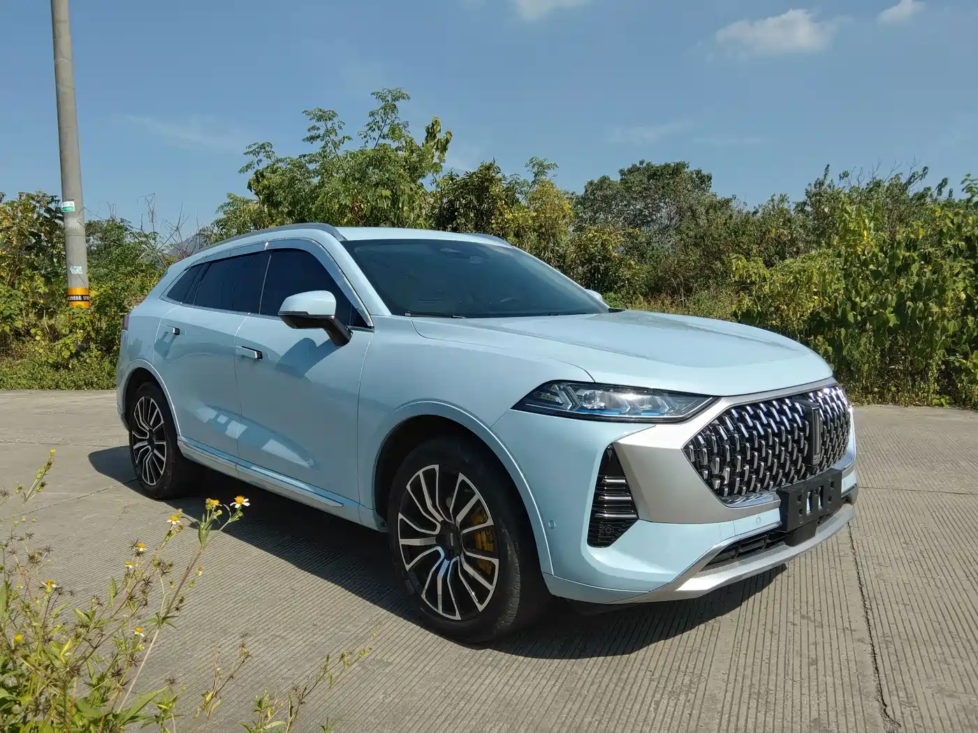 WEY Mocha 2021 2021 2.0T 4WD Premium Edition