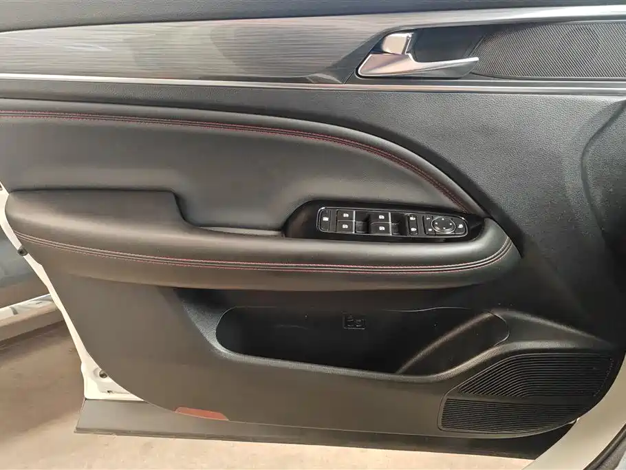 GAC Trumpchi Trumpchi GS4 PLUS 2023 390T Auto Nebula Edition фото 7