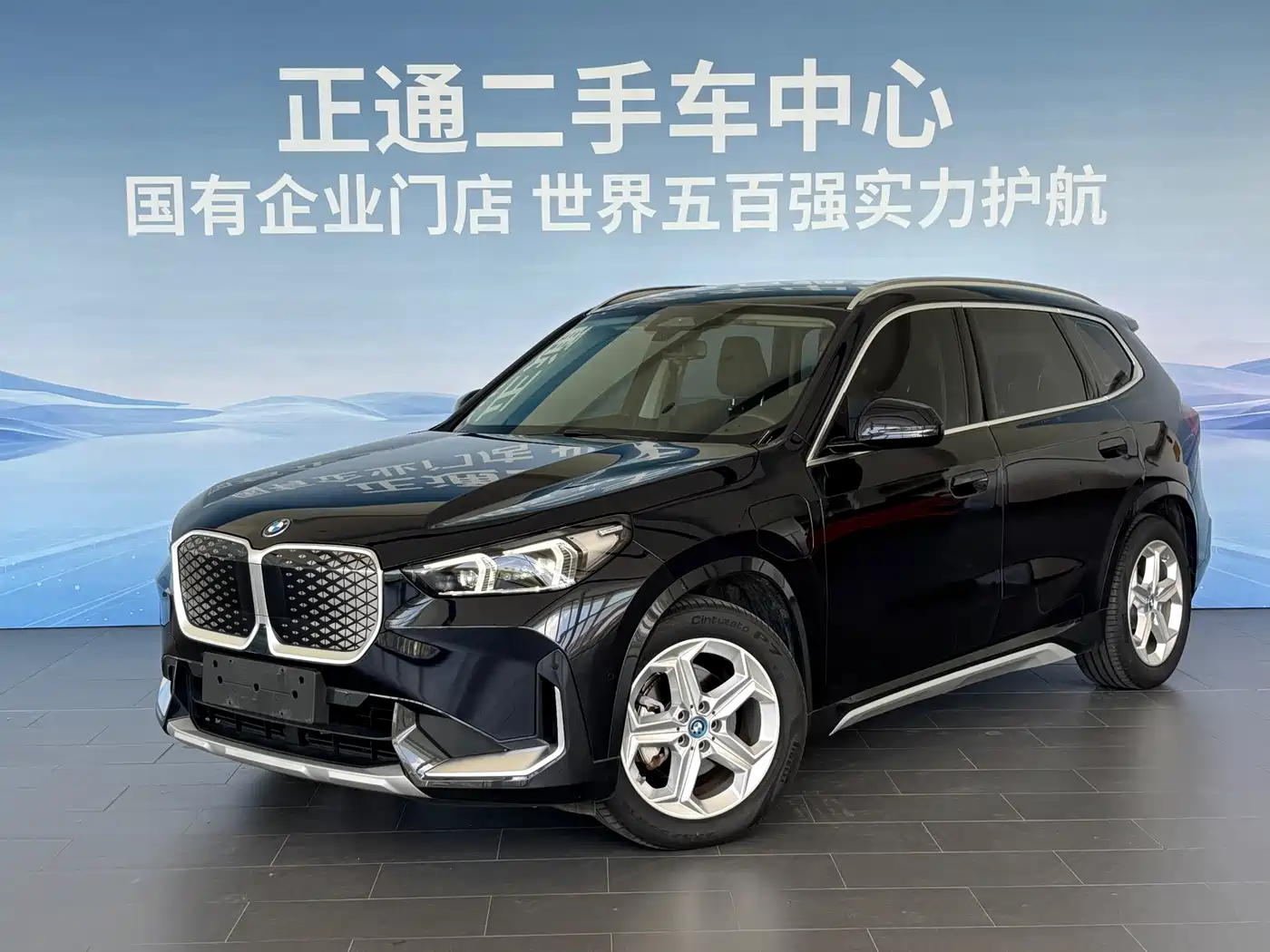 BMW iX1 2025 2025 eDrive25L X Design Package