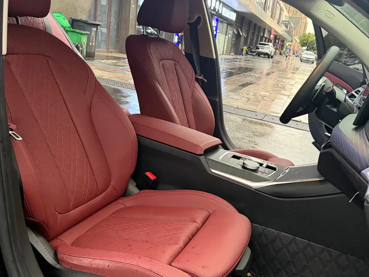 BMW BMW 3 Series 2025 325Li M Sport Package 18